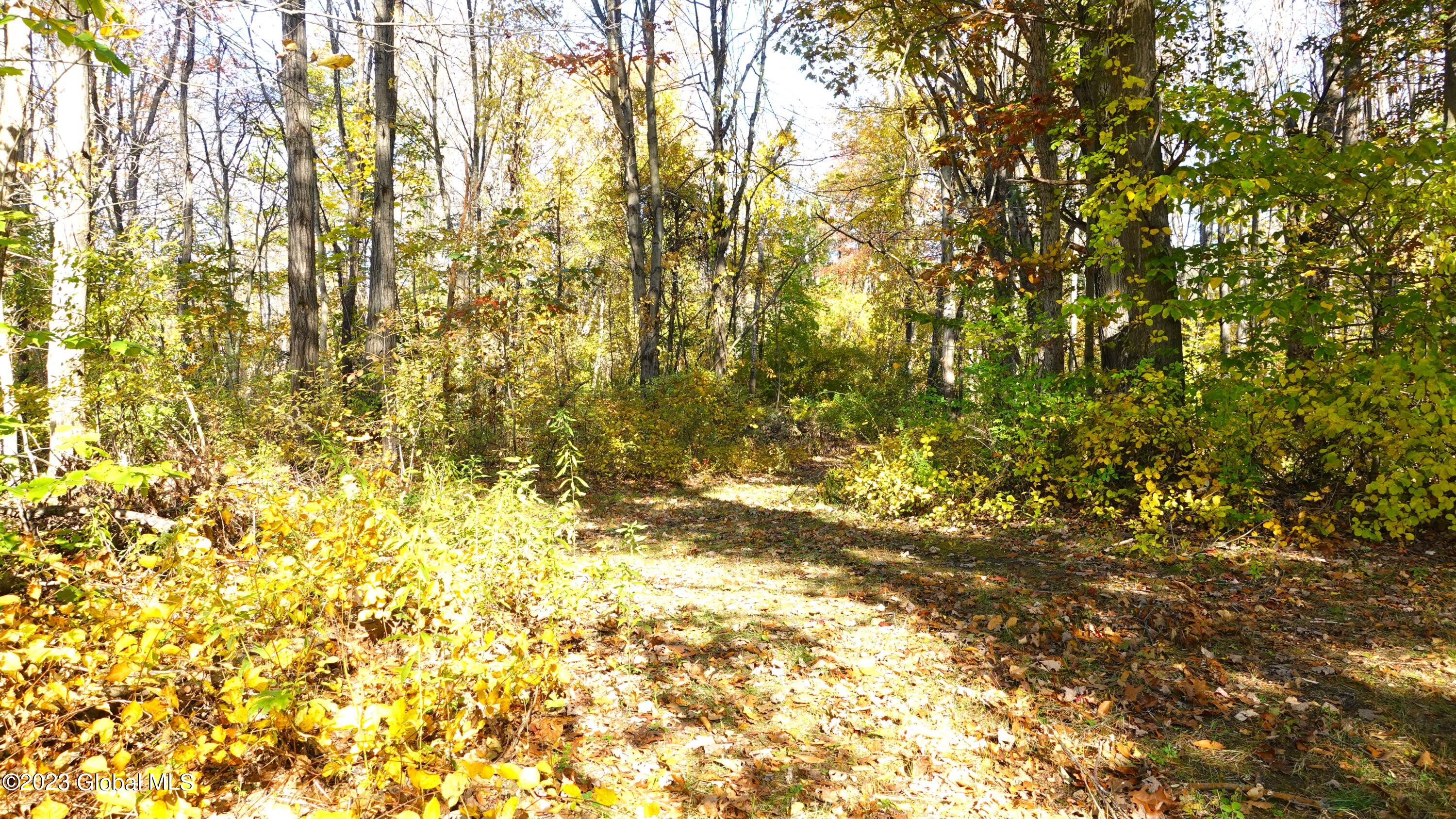 2669 West Old State Road Guilderland, NY 12306 - Photo 47 of 51 DSC00789