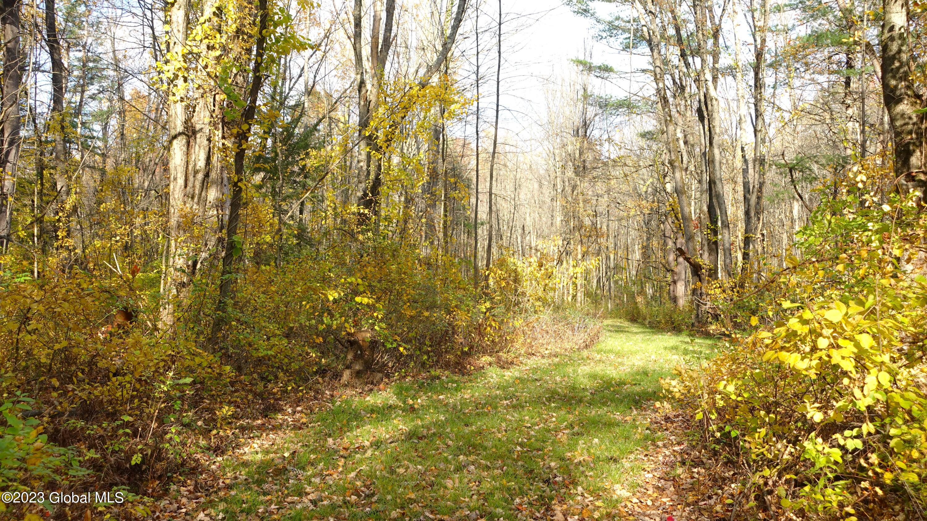 2669 West Old State Road Guilderland, NY 12306 - Photo 49 of 51 DSC00889