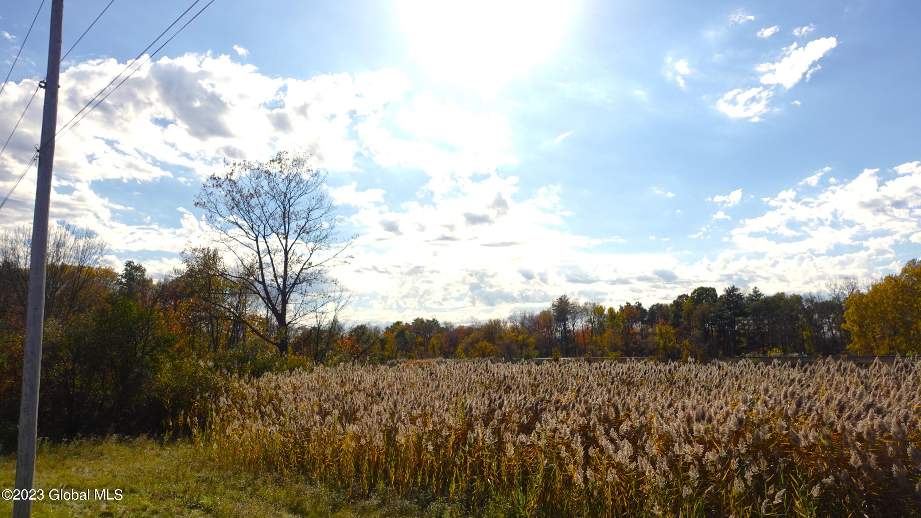 2669 West Old State Road Guilderland, NY 12306 - Photo 50 of 51 DSC00784