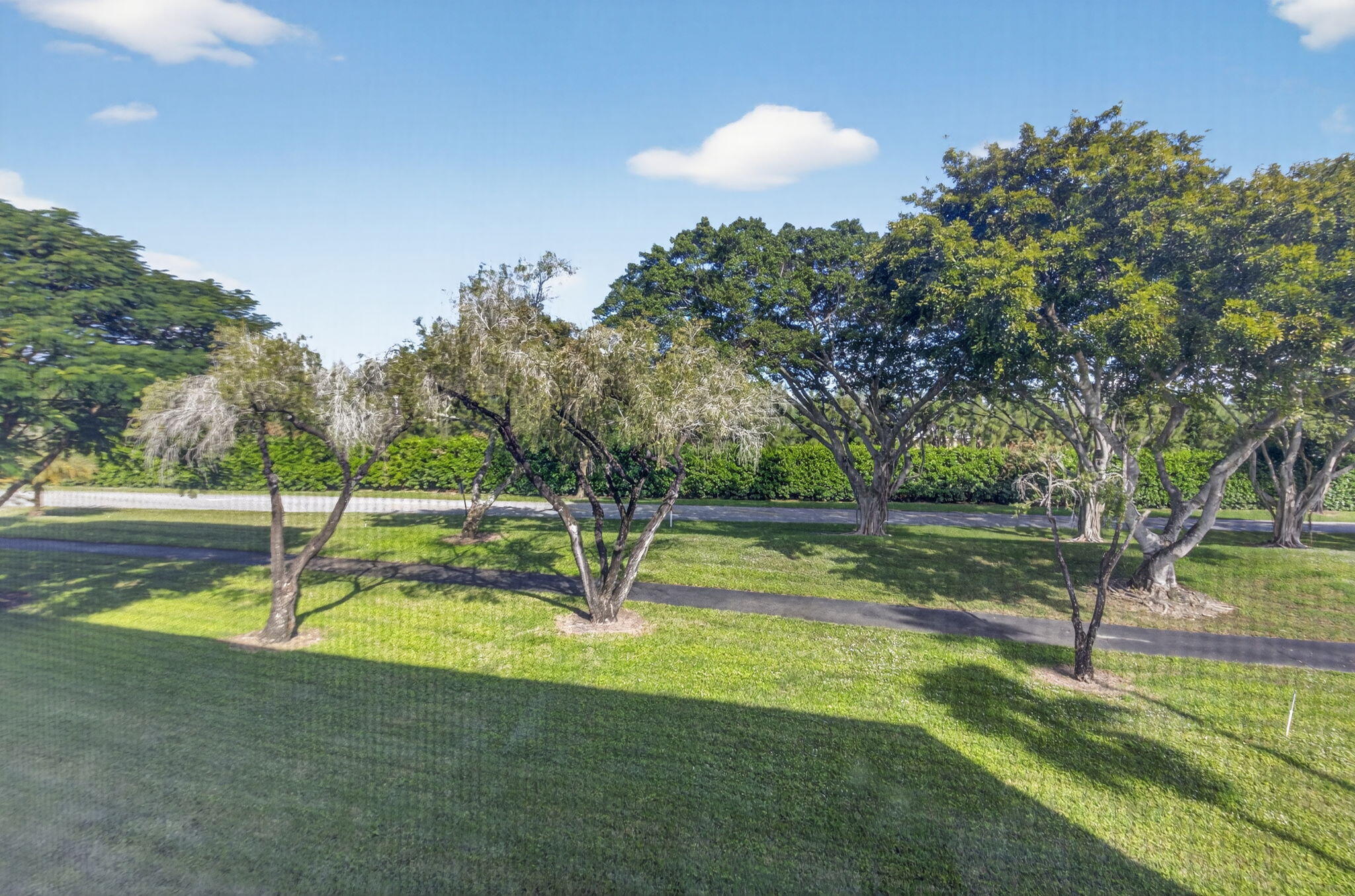 6935 Huntington Lane, Unit 207 Delray Beach, FL 33446 - Photo 14 of 88 a view of a park with large trees
