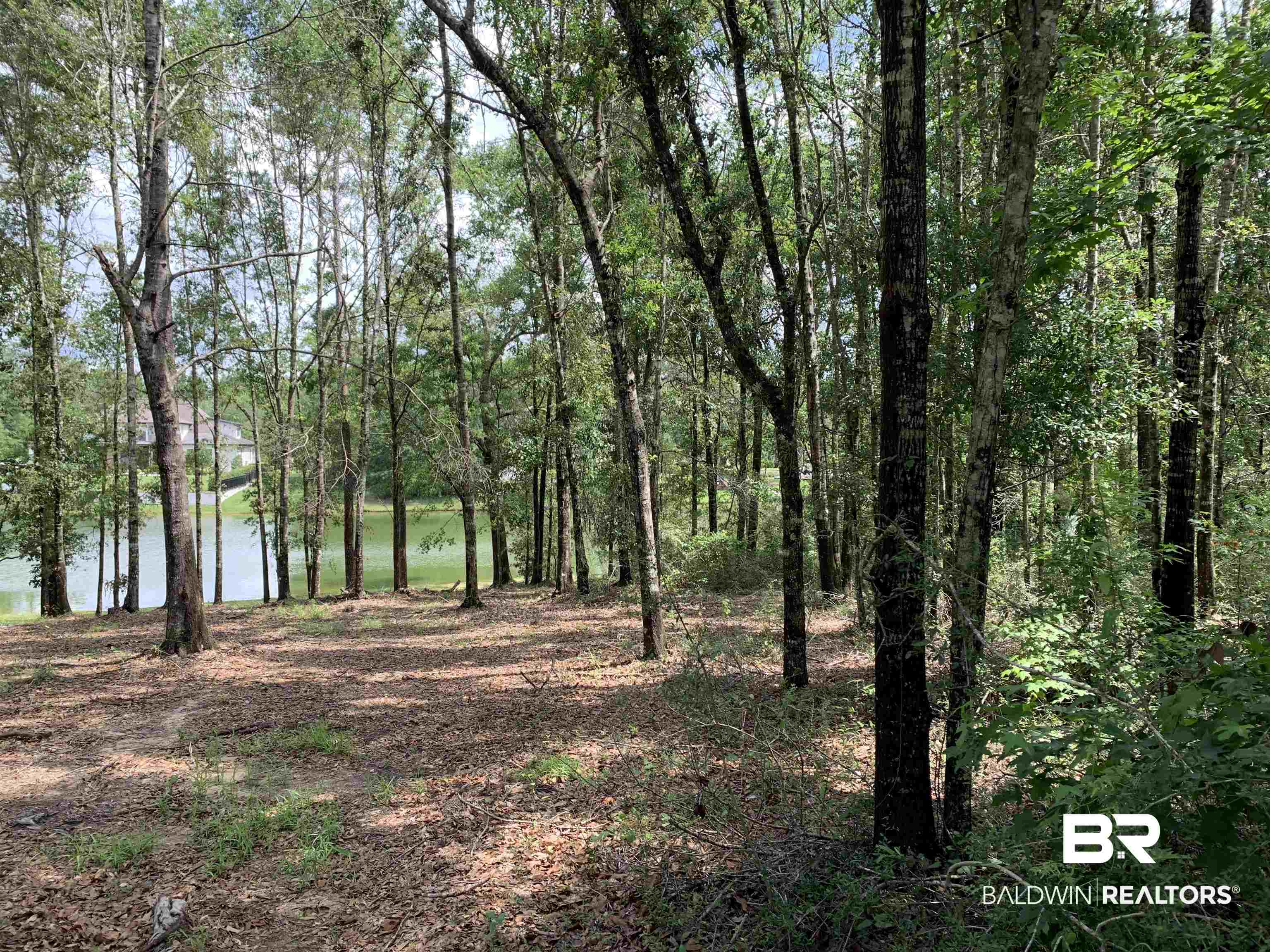 Lot 68 Sand Bar Lane Fairhope, AL 36532 - Photo 1 of 17