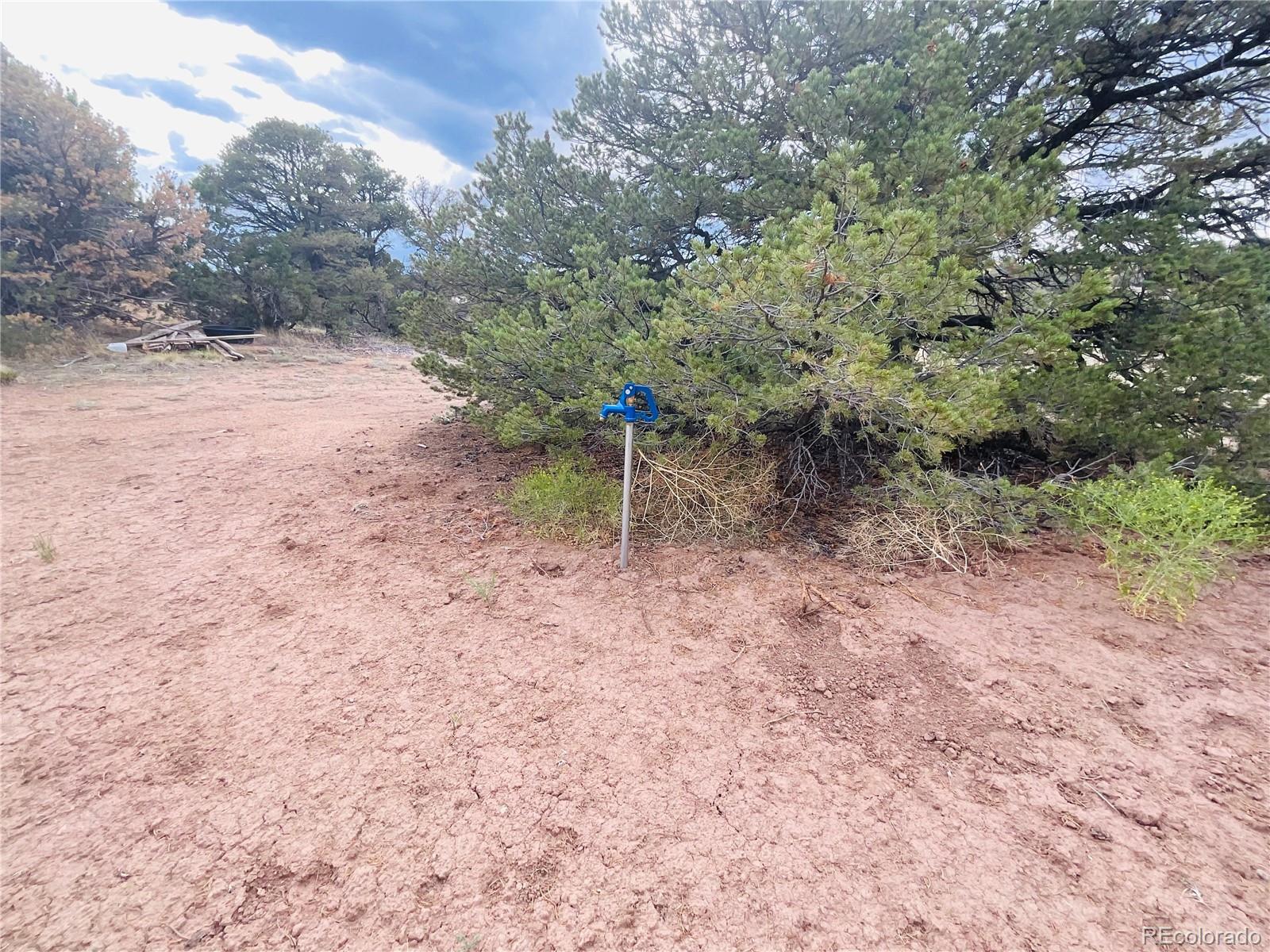 17 Phase 3 Navajo Ranch Walsenburg, CO 81089 - Photo 4 of 26 a backyard of a house with lots of green space