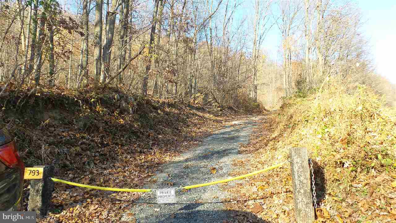 793 Tower Road Enola, PA 17025 - Photo 15 of 19 Gallery Image 15