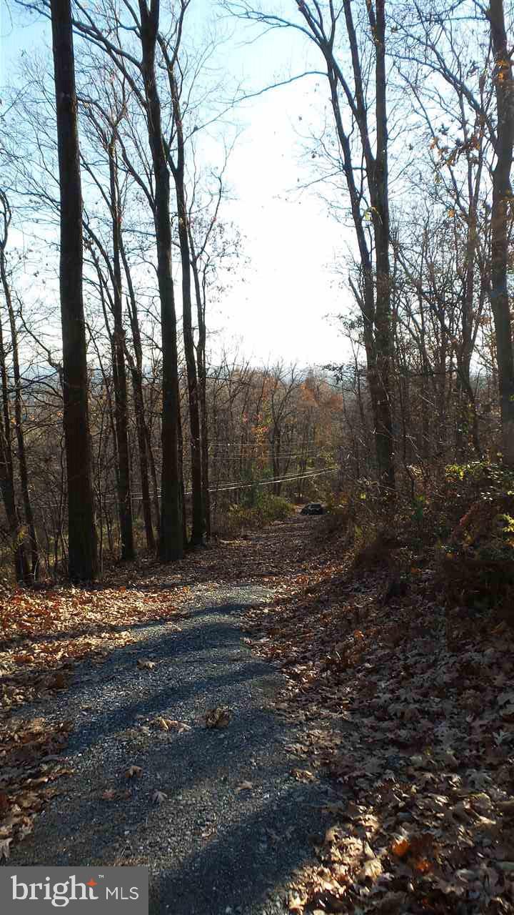793 Tower Road Enola, PA 17025 - Photo 16 of 19 Gallery Image 16