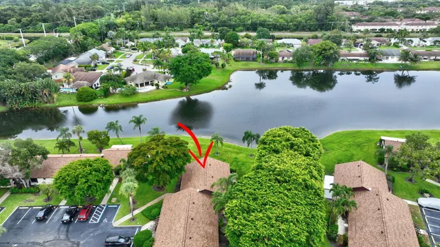 a view of a garden with plants