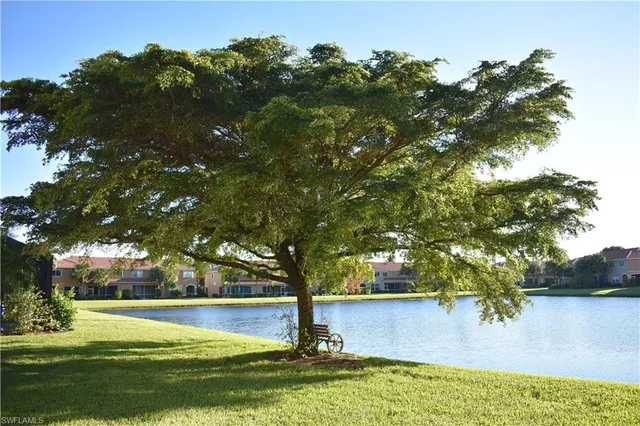 a view of a yard with a tree