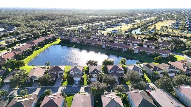 a view of a yard with plants