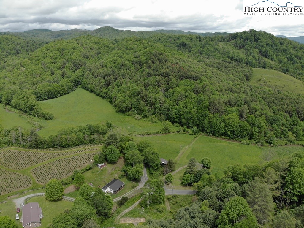 Joines Road Creston, NC 28615 - Photo 1 of 19