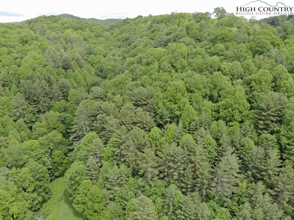 Joines Road Creston, NC 28615 - Photo 11 of 19