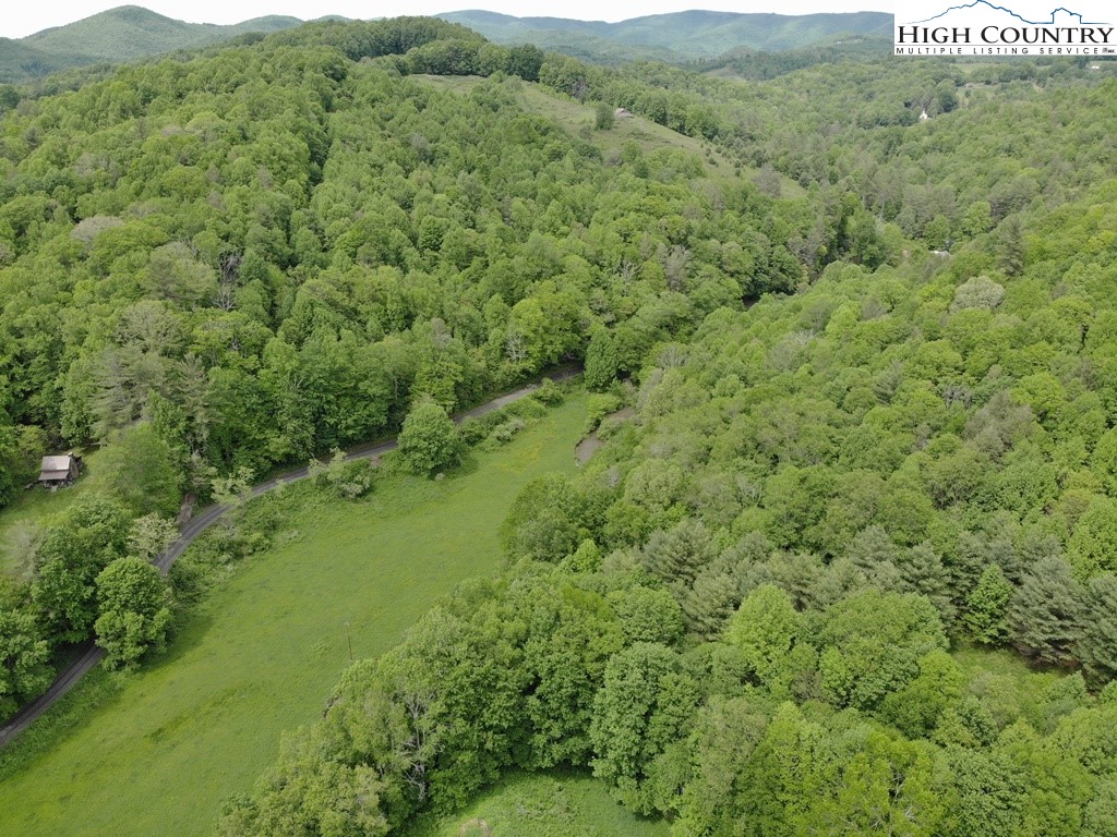 Joines Road Creston, NC 28615 - Photo 12 of 19