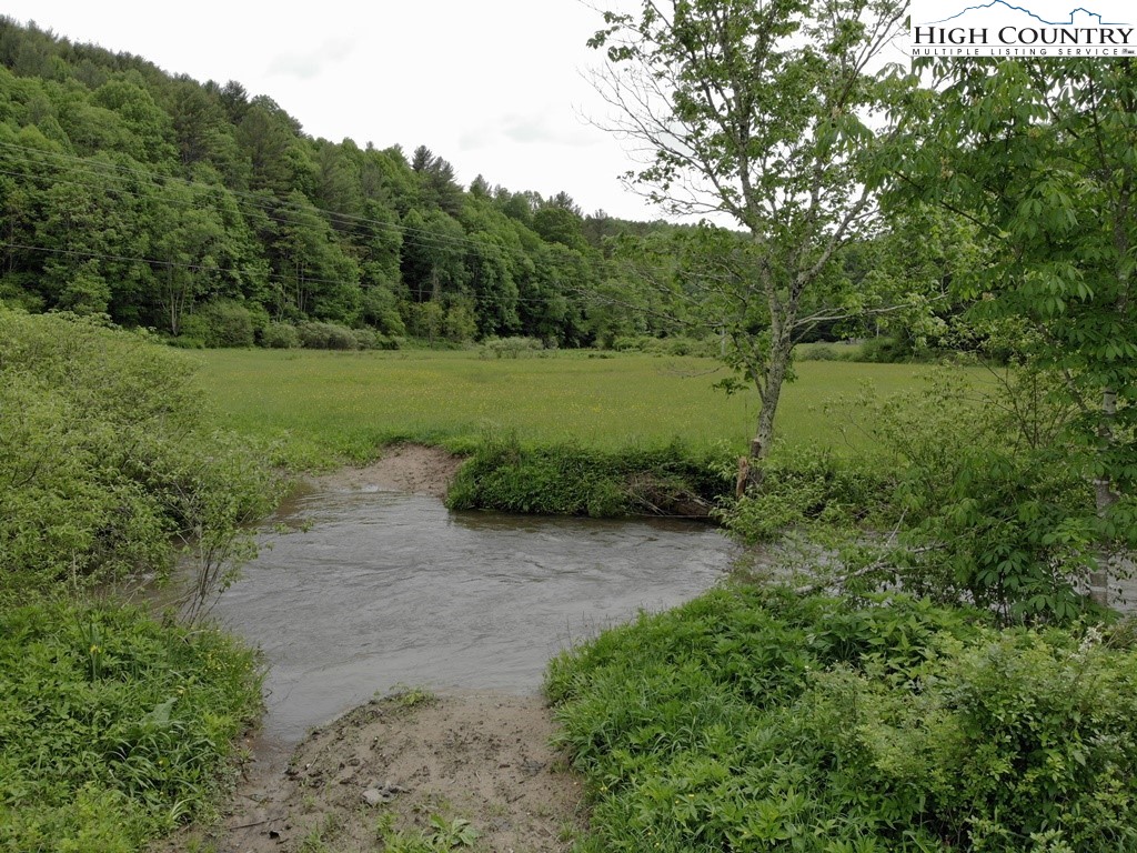 Joines Road Creston, NC 28615 - Photo 15 of 19