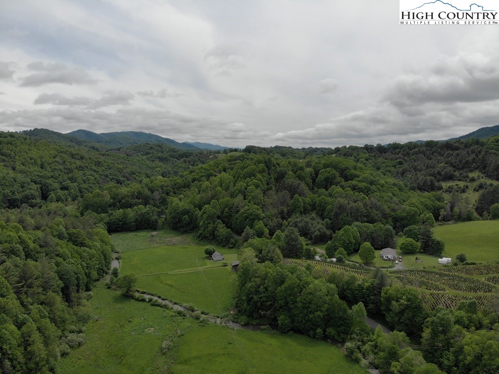 Joines Road Creston, NC 28615 - Photo 19 of 19