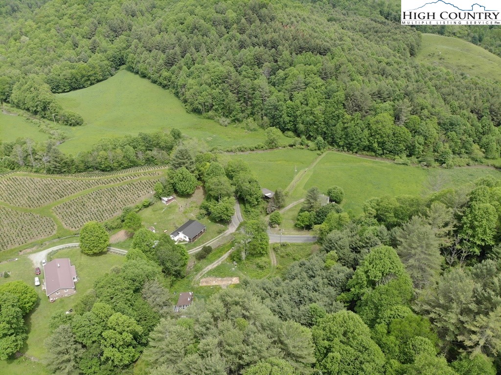 Joines Road Creston, NC 28615 - Photo 3 of 19