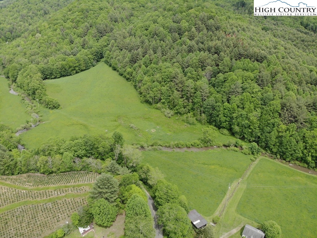 Joines Road Creston, NC 28615 - Photo 4 of 19