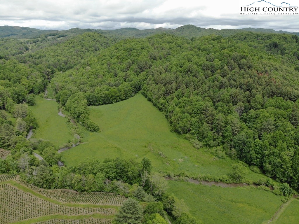 Joines Road Creston, NC 28615 - Photo 5 of 19