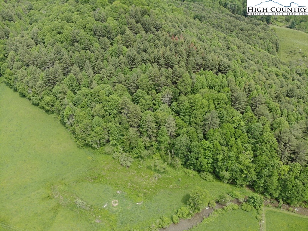 Joines Road Creston, NC 28615 - Photo 6 of 19