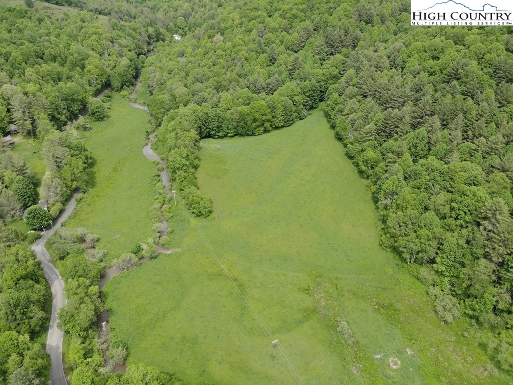 Joines Road Creston, NC 28615 - Photo 7 of 19