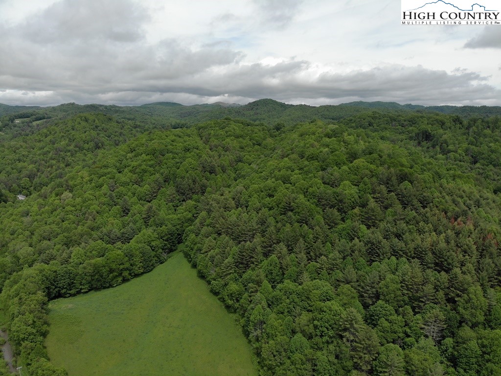 Joines Road Creston, NC 28615 - Photo 8 of 19
