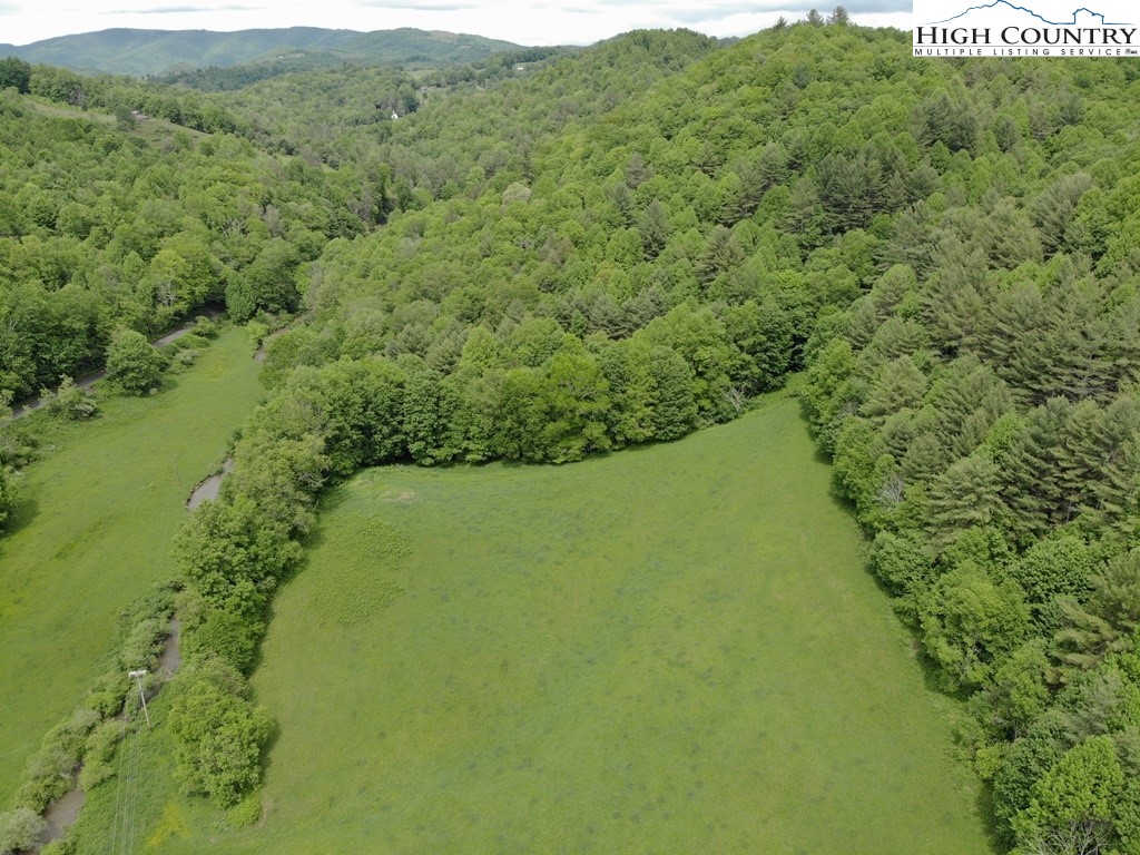 Joines Road Creston, NC 28615 - Photo 9 of 19
