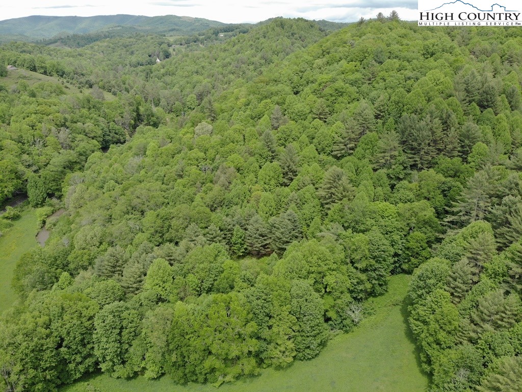 Joines Road Creston, NC 28615 - Photo 10 of 19