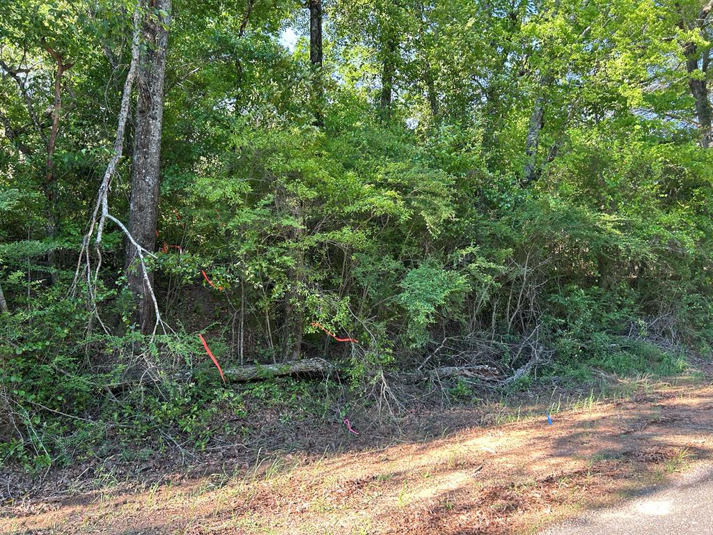 Lot 6-3 -ac Cty Road Newville, AL 36353 - Photo 8 of 24