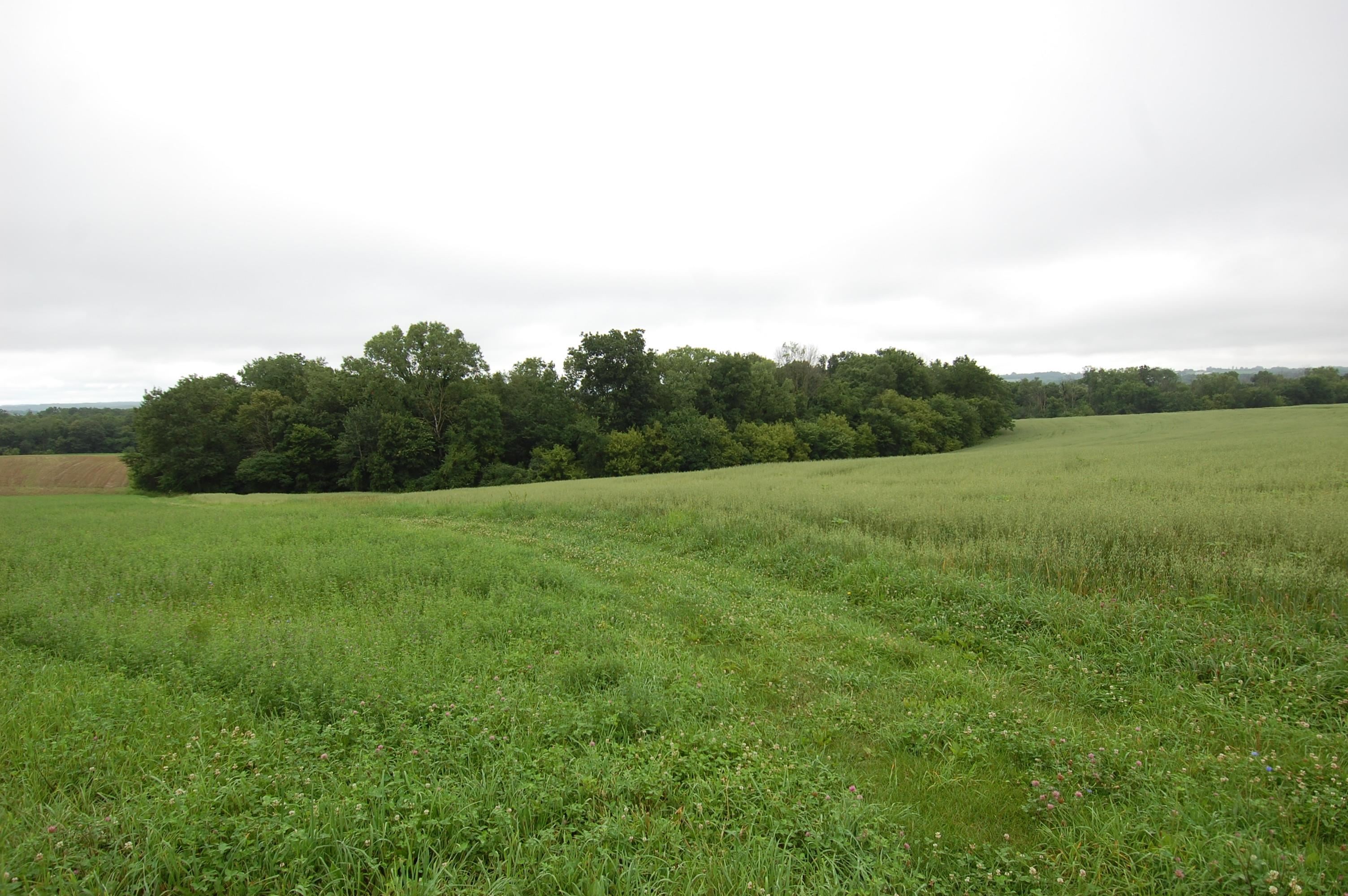 999 Halverson Ridge Soldiers Grove, WI 54655 - Photo 7 of 8