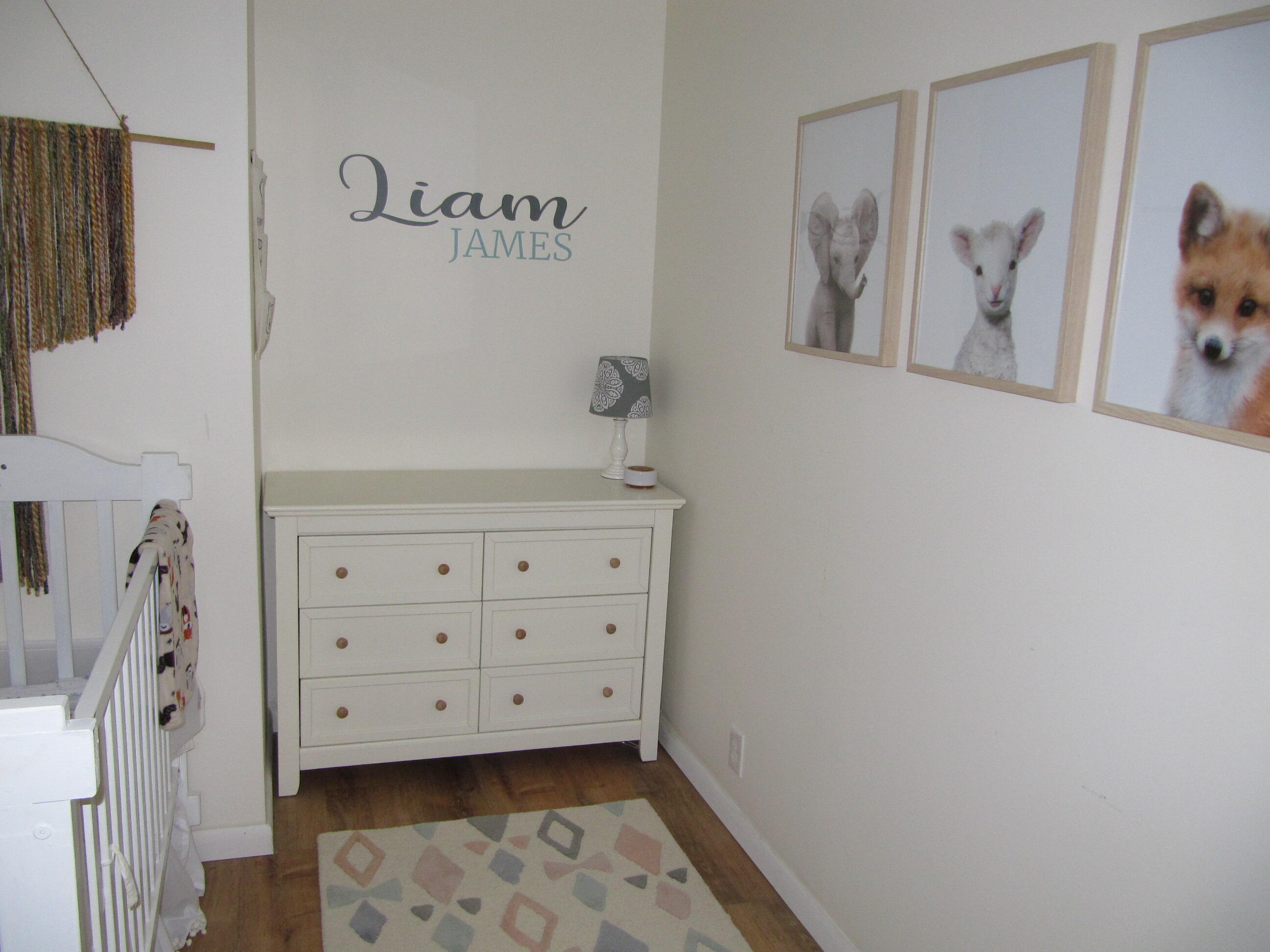 124 East Edgar Bergen Boulevard Decatur, MI 49045 - Photo 10 of 20 IMG_0014