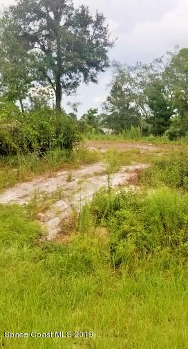 4165 Hog Valley Road Mims, FL 32754 - Photo 21 of 24 67871616_2454307351517553_13818431927641