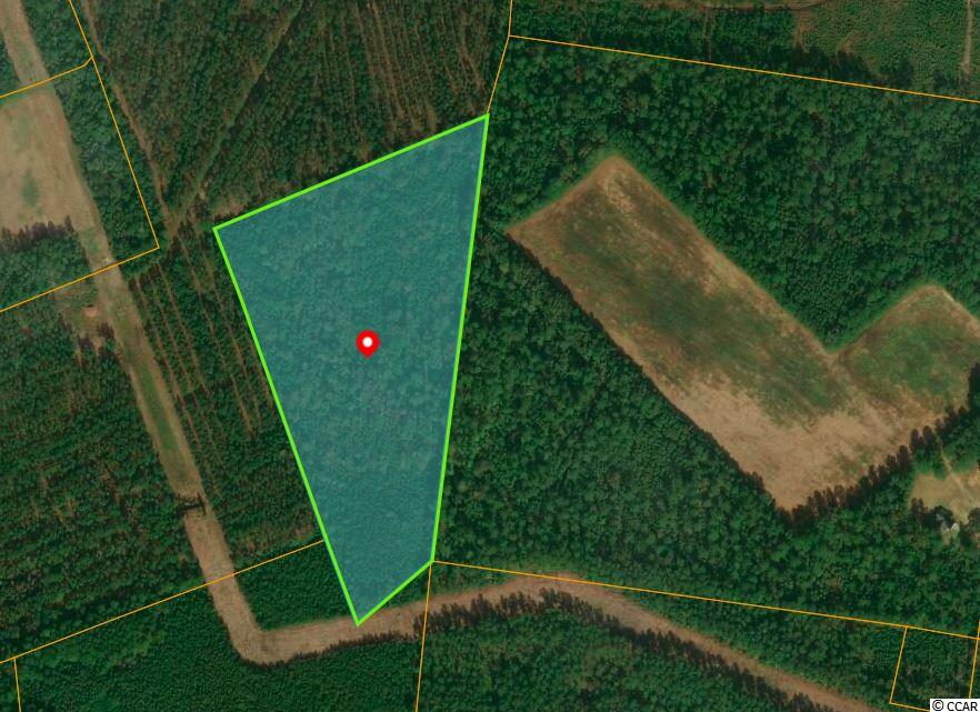 Tbd Dirty Branch Road Conway, SC 29527 - Photo 1 of 4 Gallery Image 1