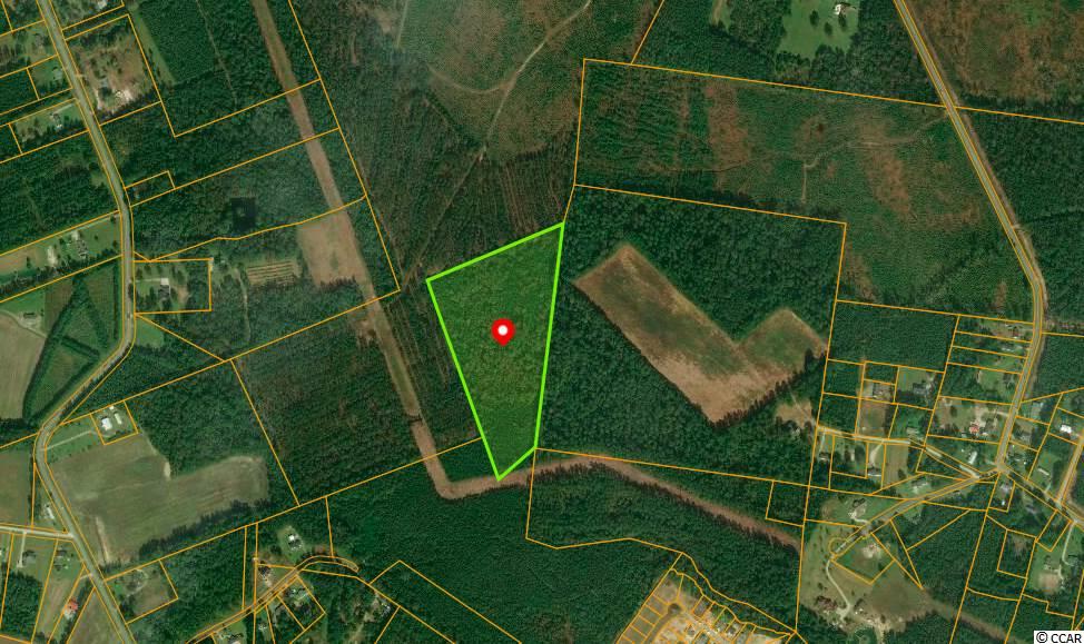 Tbd Dirty Branch Road Conway, SC 29527 - Photo 2 of 4 Gallery Image 2