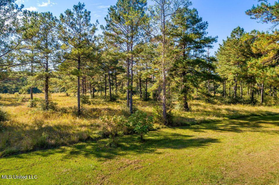 94 Double R Lane Columbia, MS 39429 - Photo 32 of 41 32