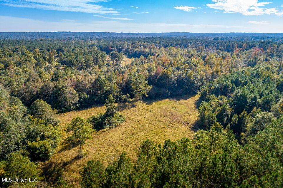 94 Double R Lane Columbia, MS 39429 - Photo 35 of 41 35