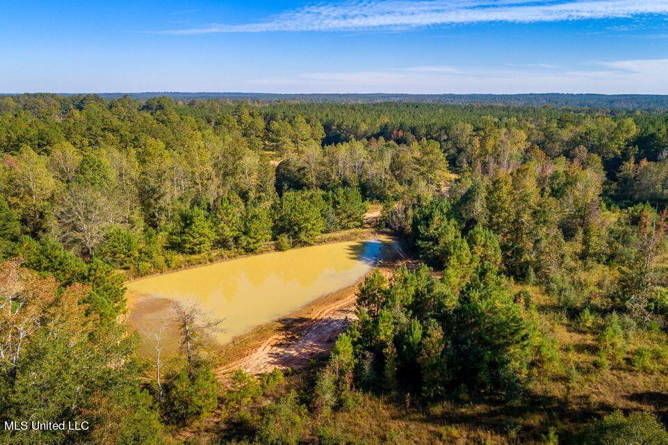94 Double R Lane Columbia, MS 39429 - Photo 39 of 41 39