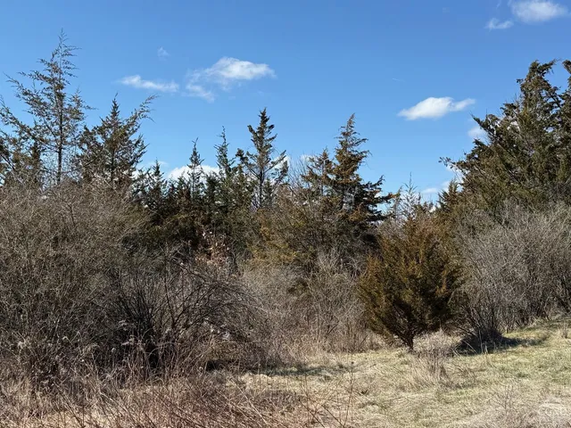 a view of a backyard of a house