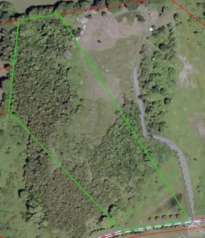 a view of a plant in a garden