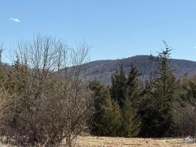 a view of a house with a mountain and a forest