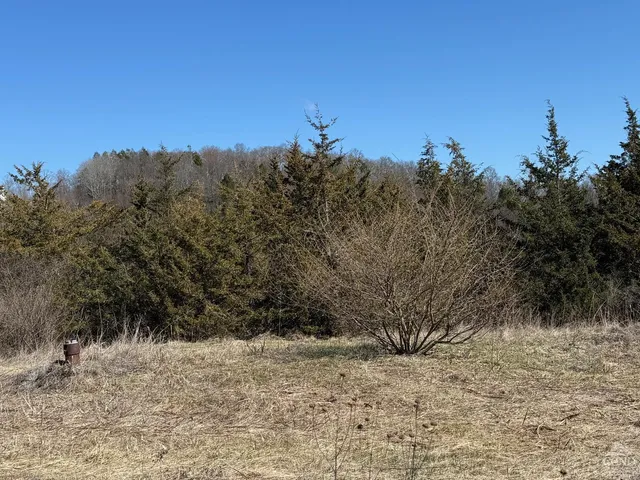 a view of a dry yard with trees in the background
