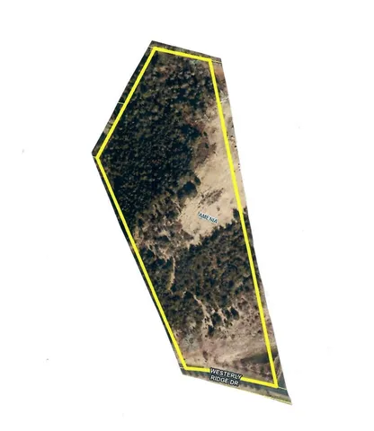 a view of a dry yard with trees