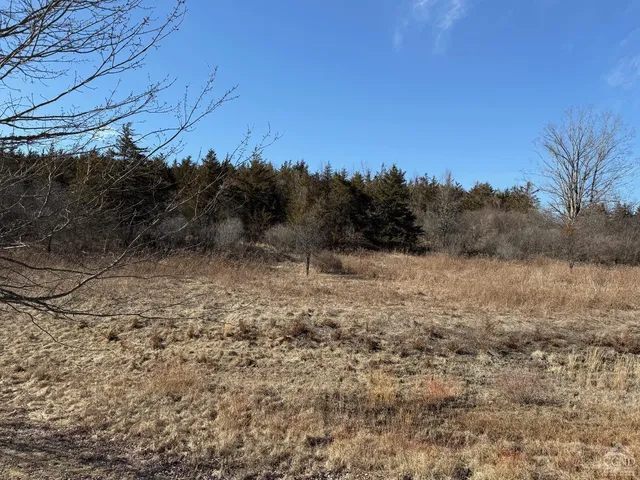 a view of outdoor space and trees