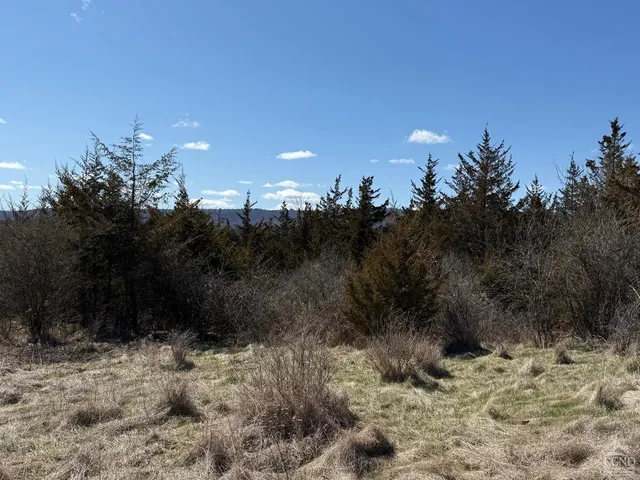 a view of a road with a snow on the road