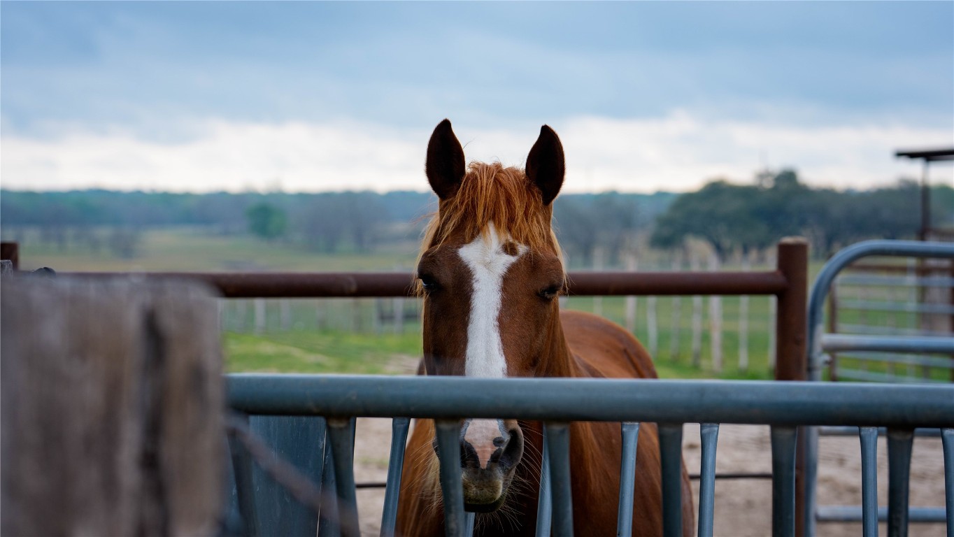 Tbd Wolters Road Schulenburg, TX 78956 - Photo 6 of 42