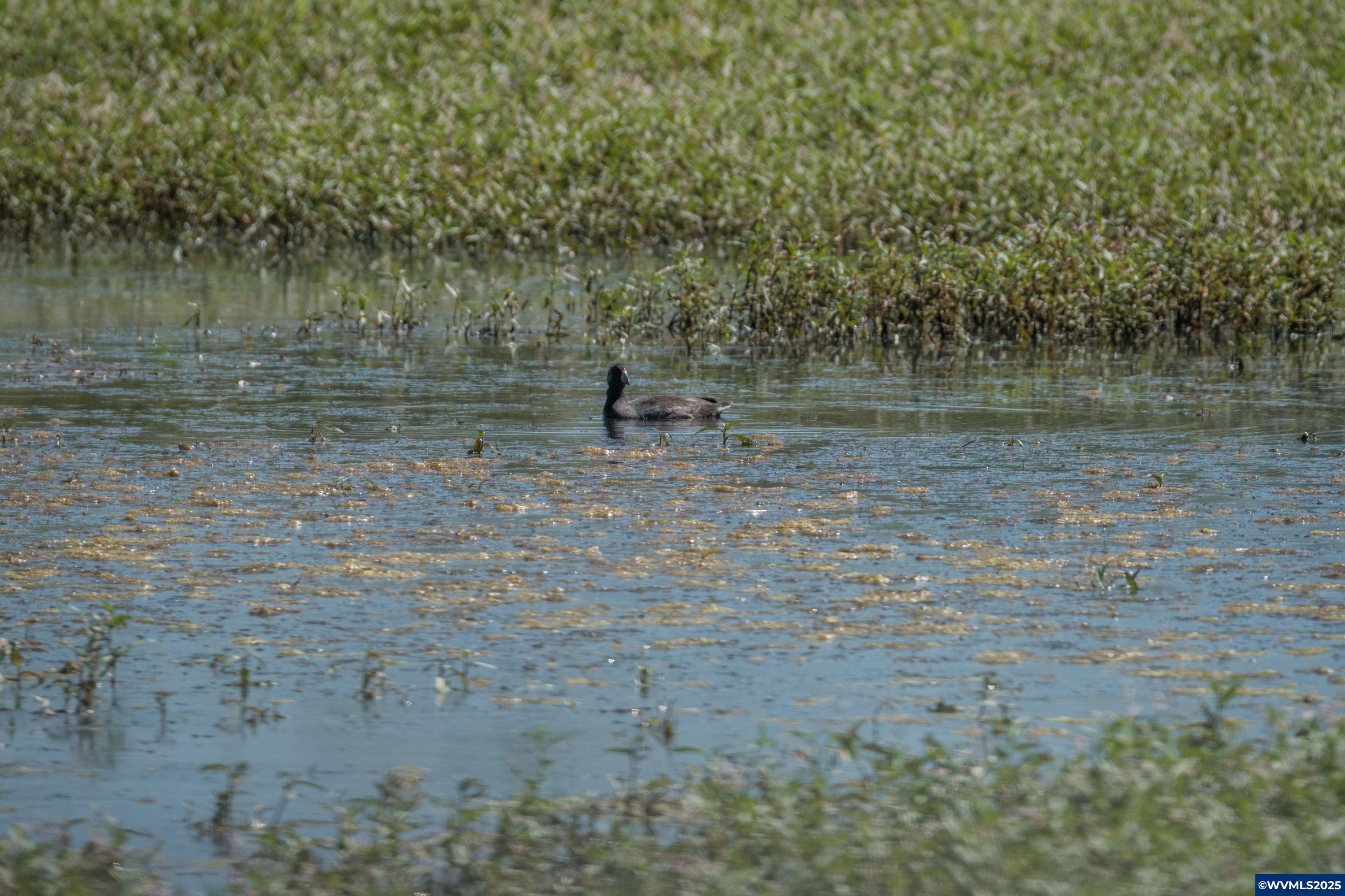 Lot 5332 Duck Club Scappoose, OR 97056 - Photo 27 of 33