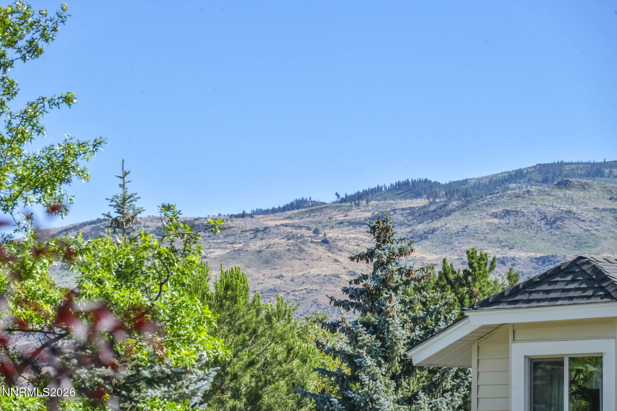 1434 Ambassador Drive Reno, NV 89523 - Photo 59 of 63 21-web-or-mls-1434-ambassador-dr