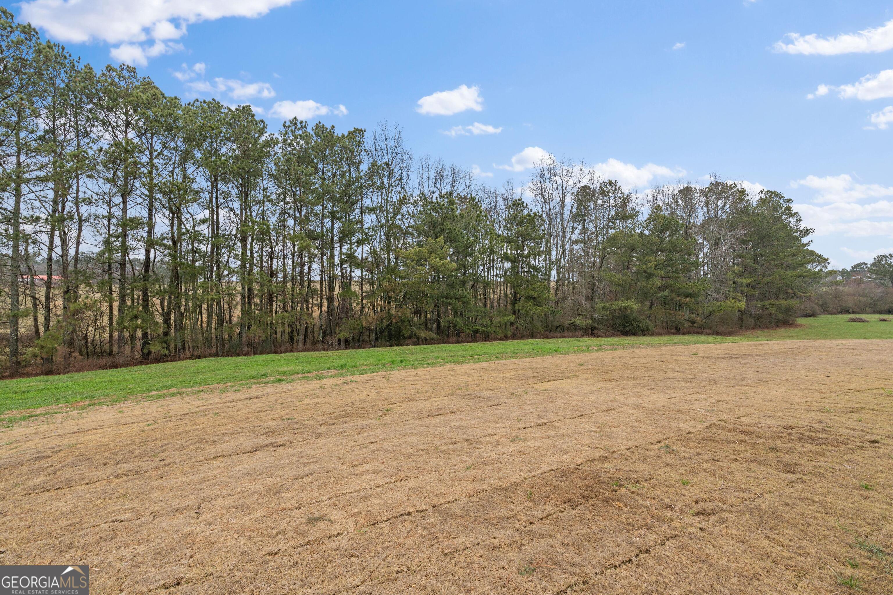 340 Happy Hollow Road Roopville, GA 30170 - Photo 18 of 22 a backyard of a house with lots of green space