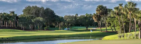 a view of a park with large trees