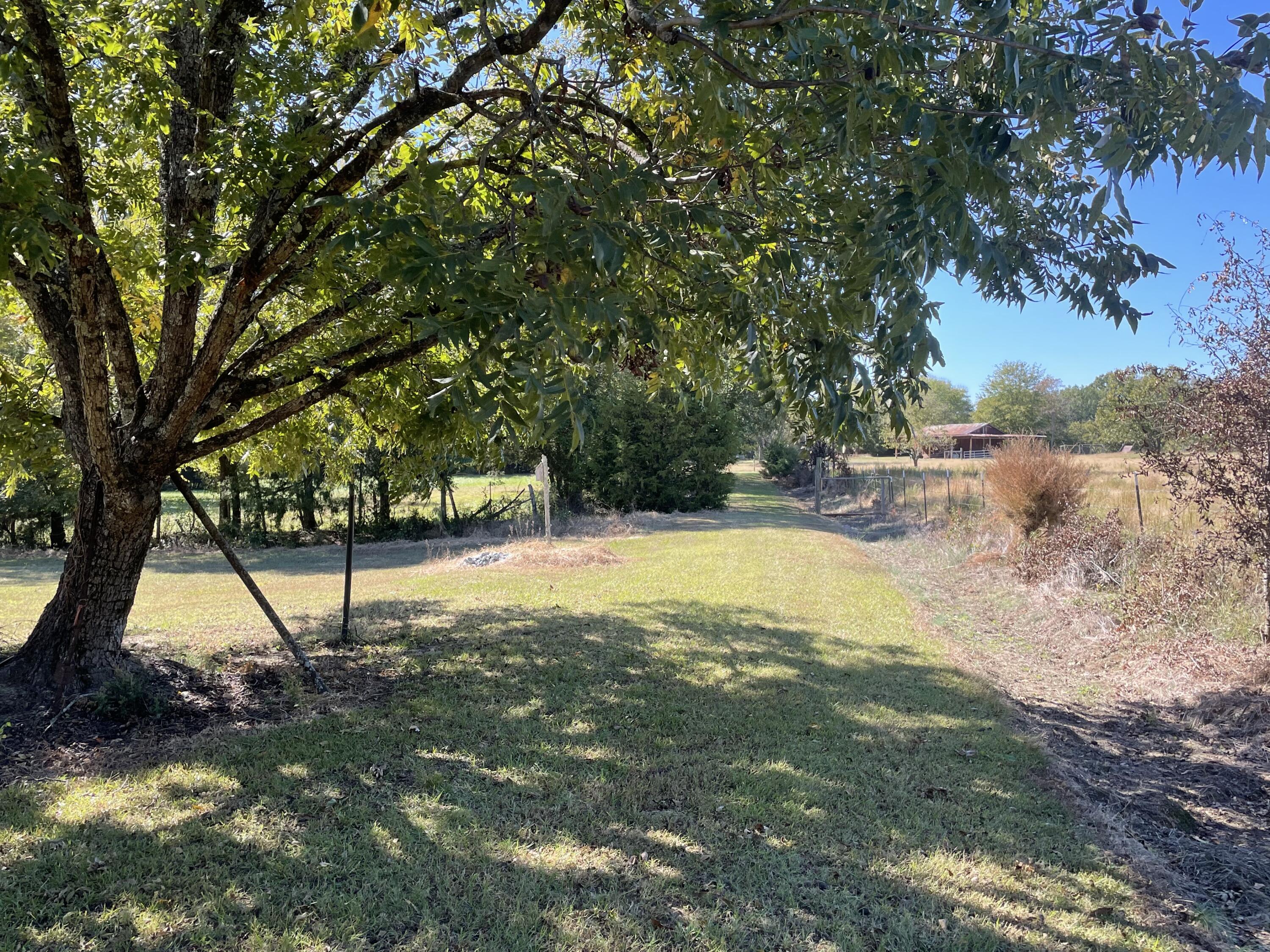 376 Old Vienna Road Abbeville, SC 29620 - Photo 10 of 31