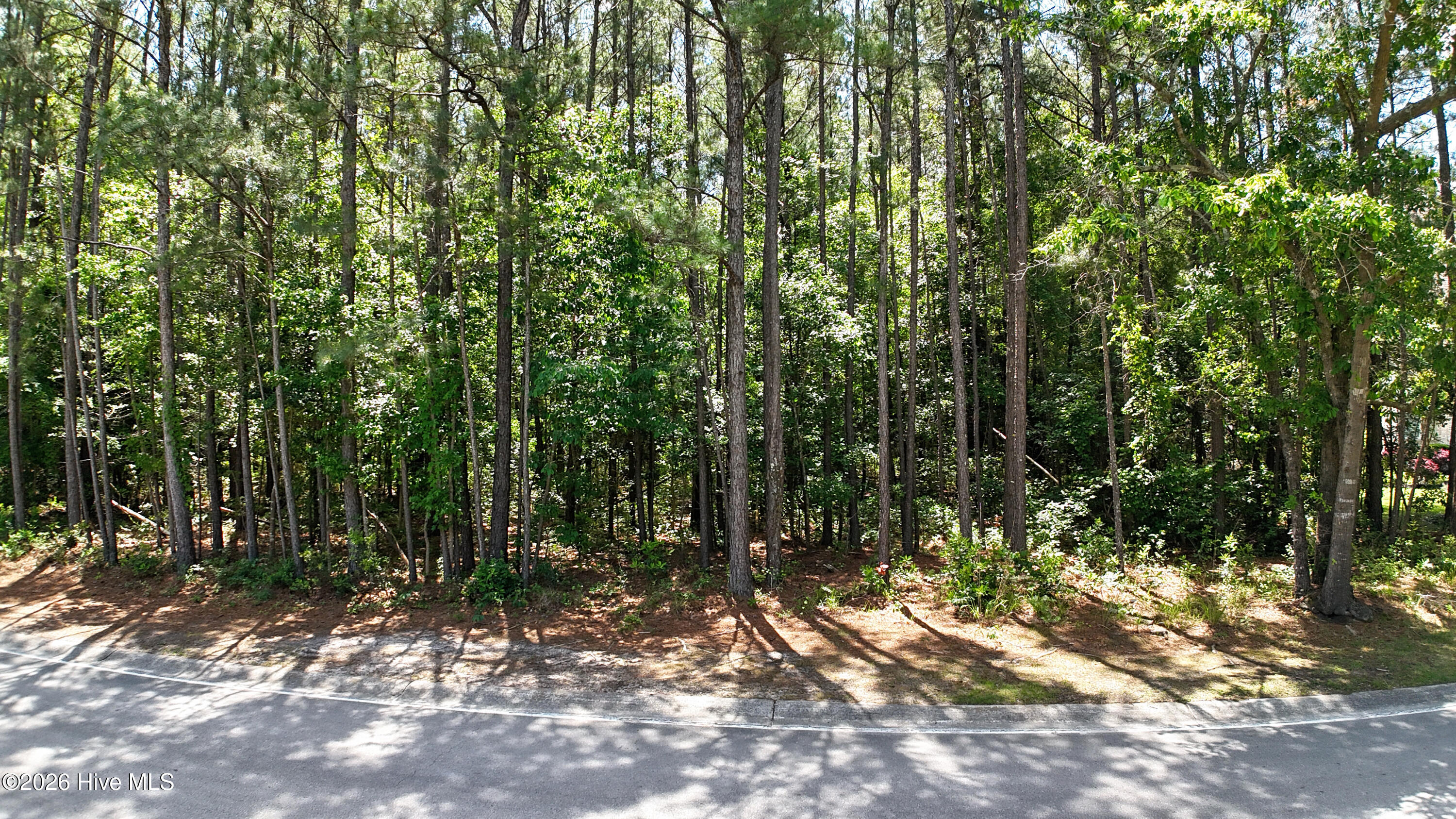 319 River Ridge Drive Wallace, NC 28466 - Photo 8 of 10 copy_C4878680-24B9-4CEC-AC7A-2FF3309FCA8