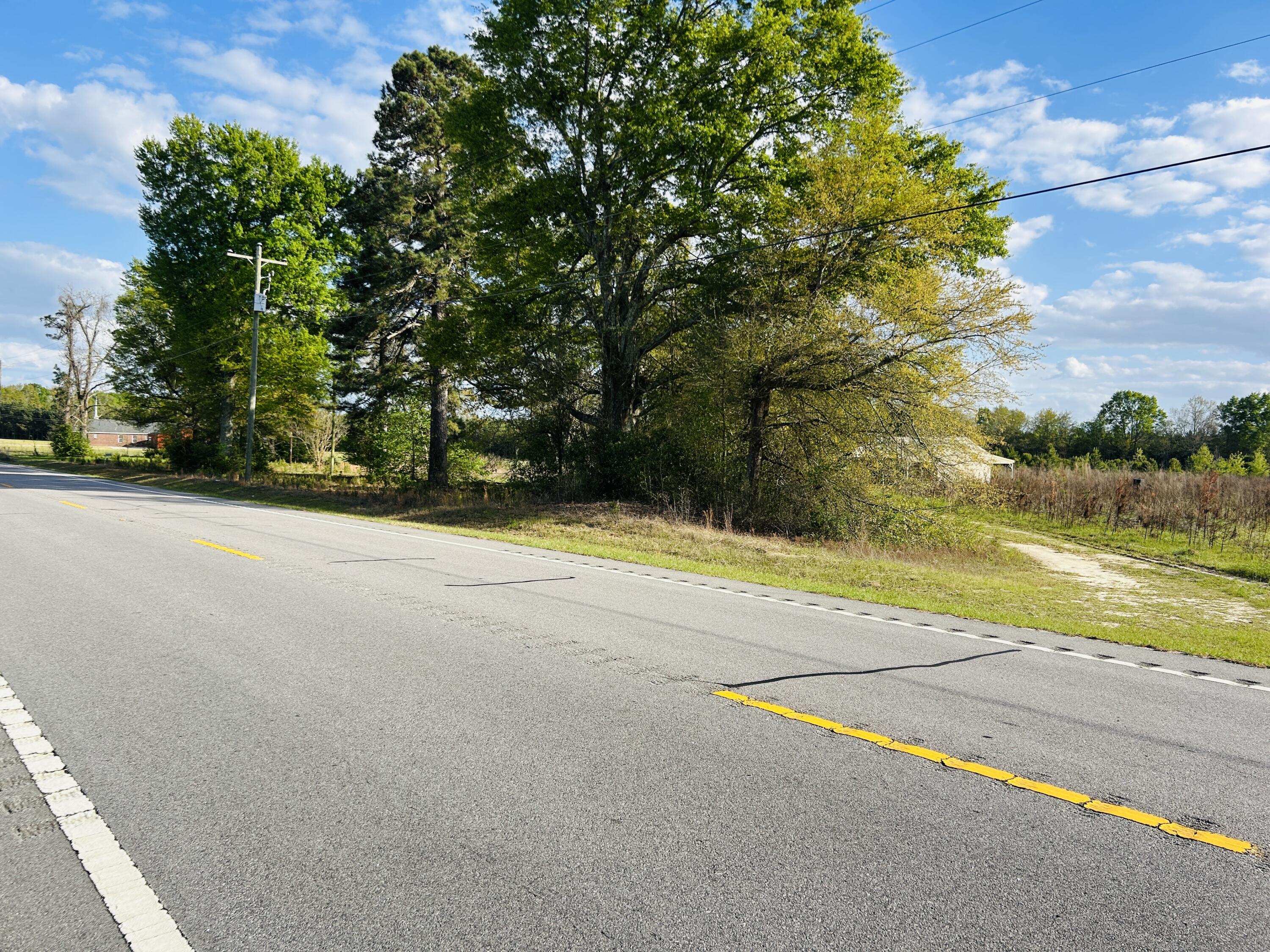 3058 Surrey Race Road Springfield, SC 29146 - Photo 14 of 25 IMG_3852