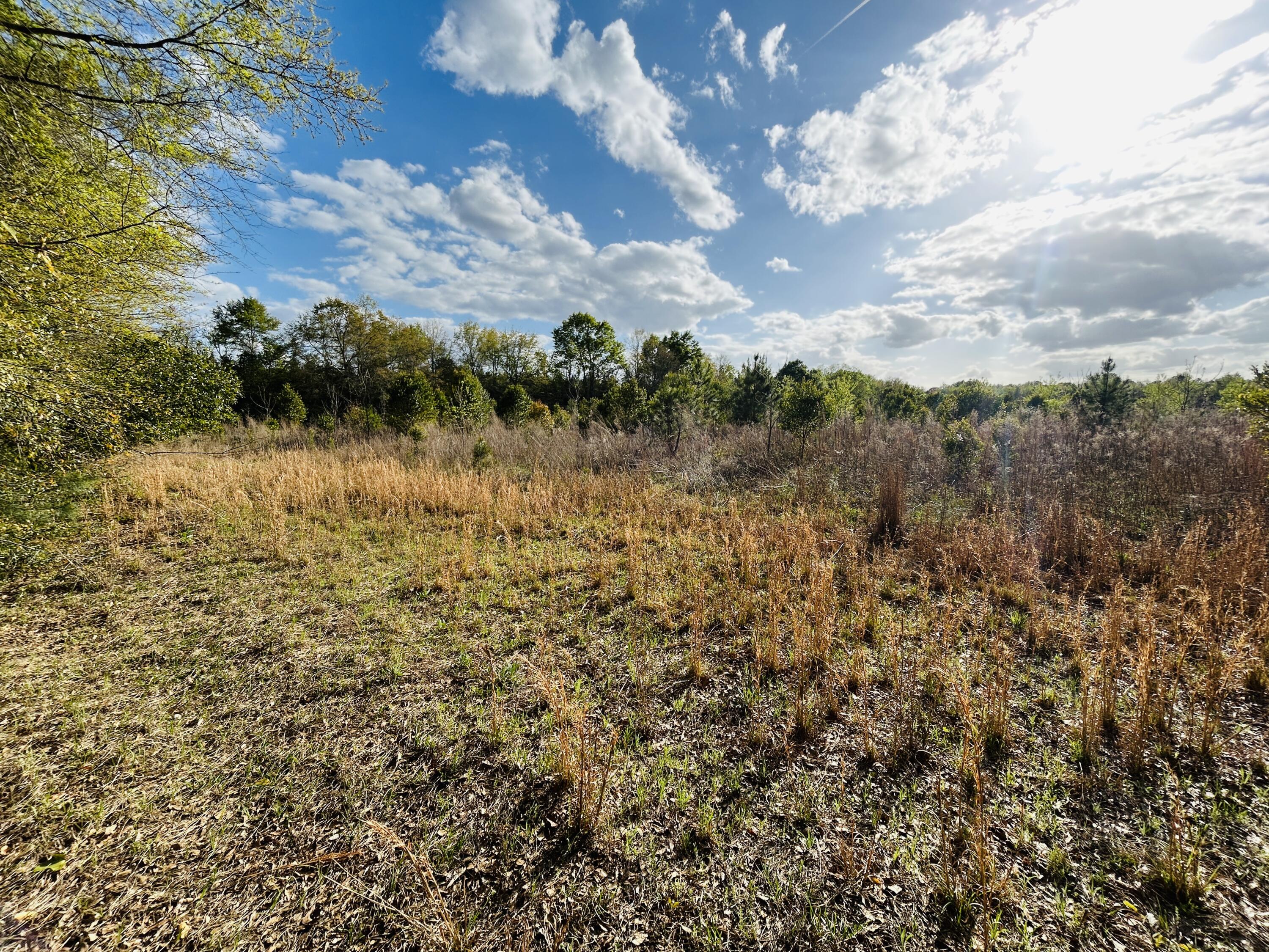 3058 Surrey Race Road Springfield, SC 29146 - Photo 20 of 25 IMG_3860