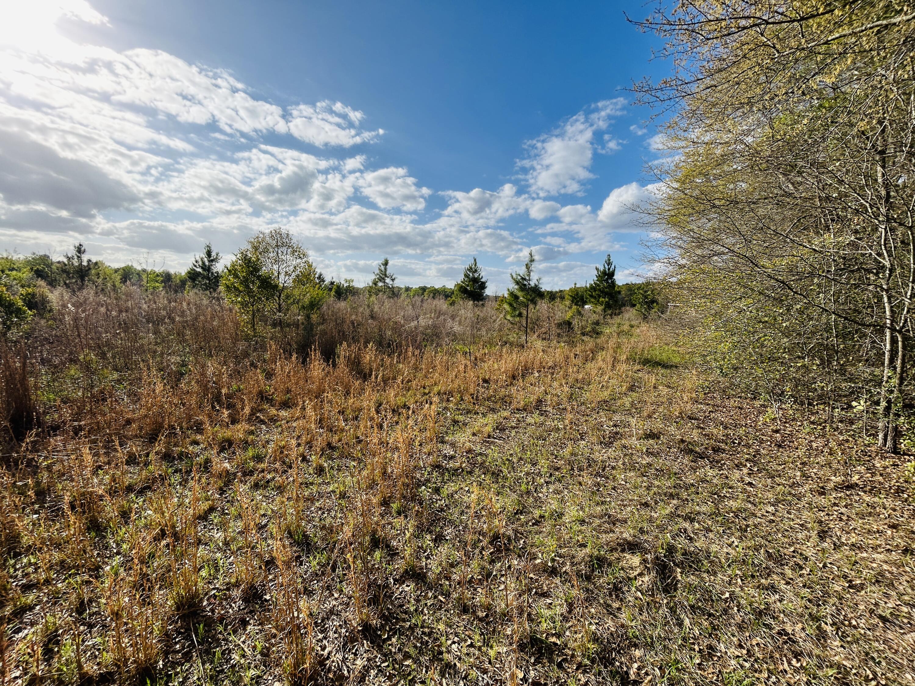 3058 Surrey Race Road Springfield, SC 29146 - Photo 21 of 25 IMG_3861